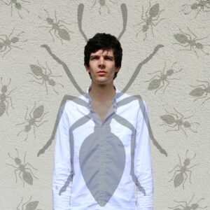 Les fourmis
