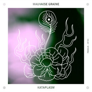 Kataplasm
