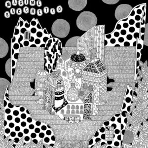 Maxime Sacchetto