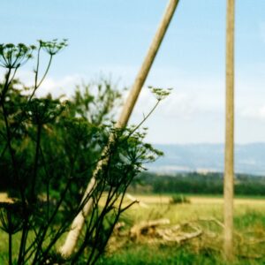 Sous le soleil brûlant