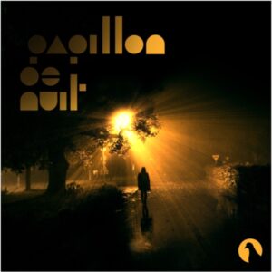 Papillon de nuit
