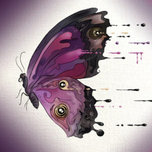 Papillon