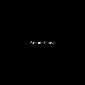 Amour fauve (Version acoustique)