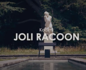 Joli Racoon