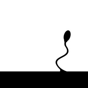 Séraphine
