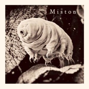 Miston