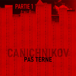 Pas terne (Partie 1)