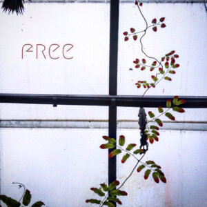 Free