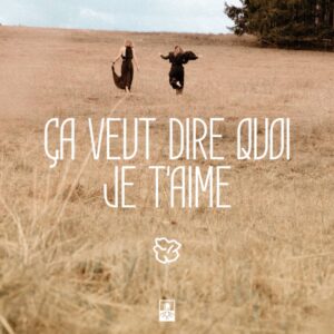 Ça veut dire quoi je t'aime